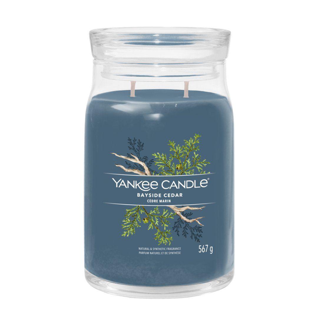 Jar Candles Signature Bayside Cedar