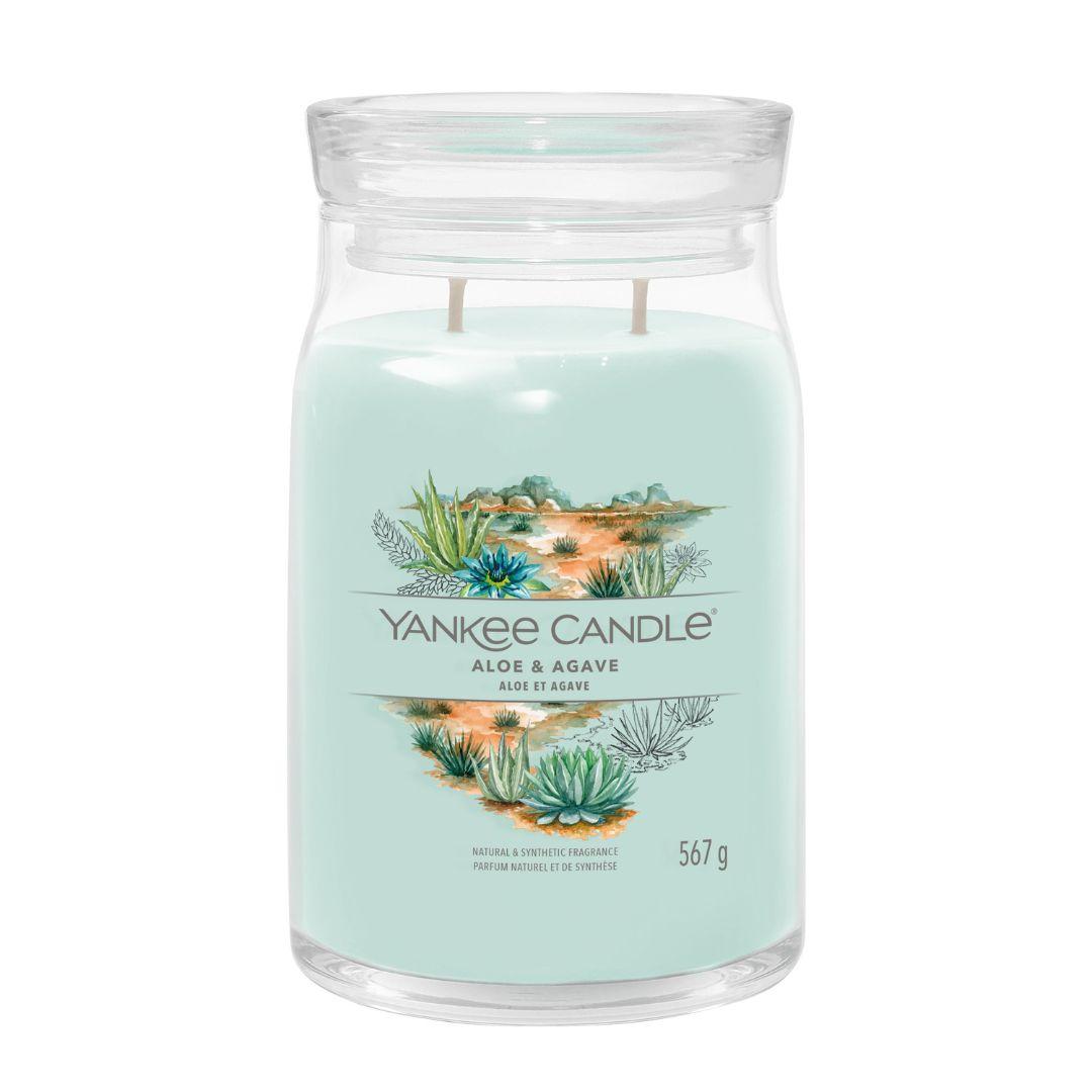 Jar Candles Signature Aloe & Agave