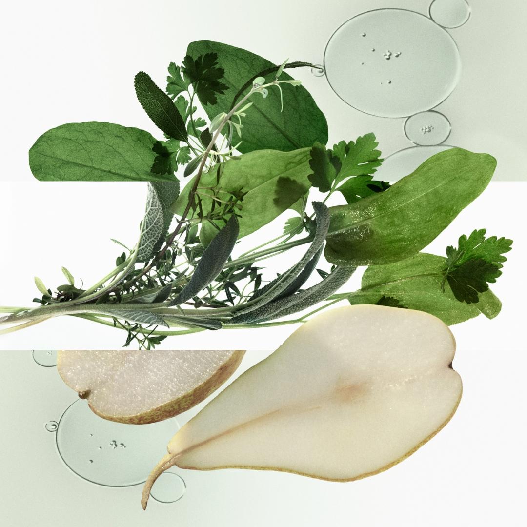 H24 Herbes Vives Ricarica