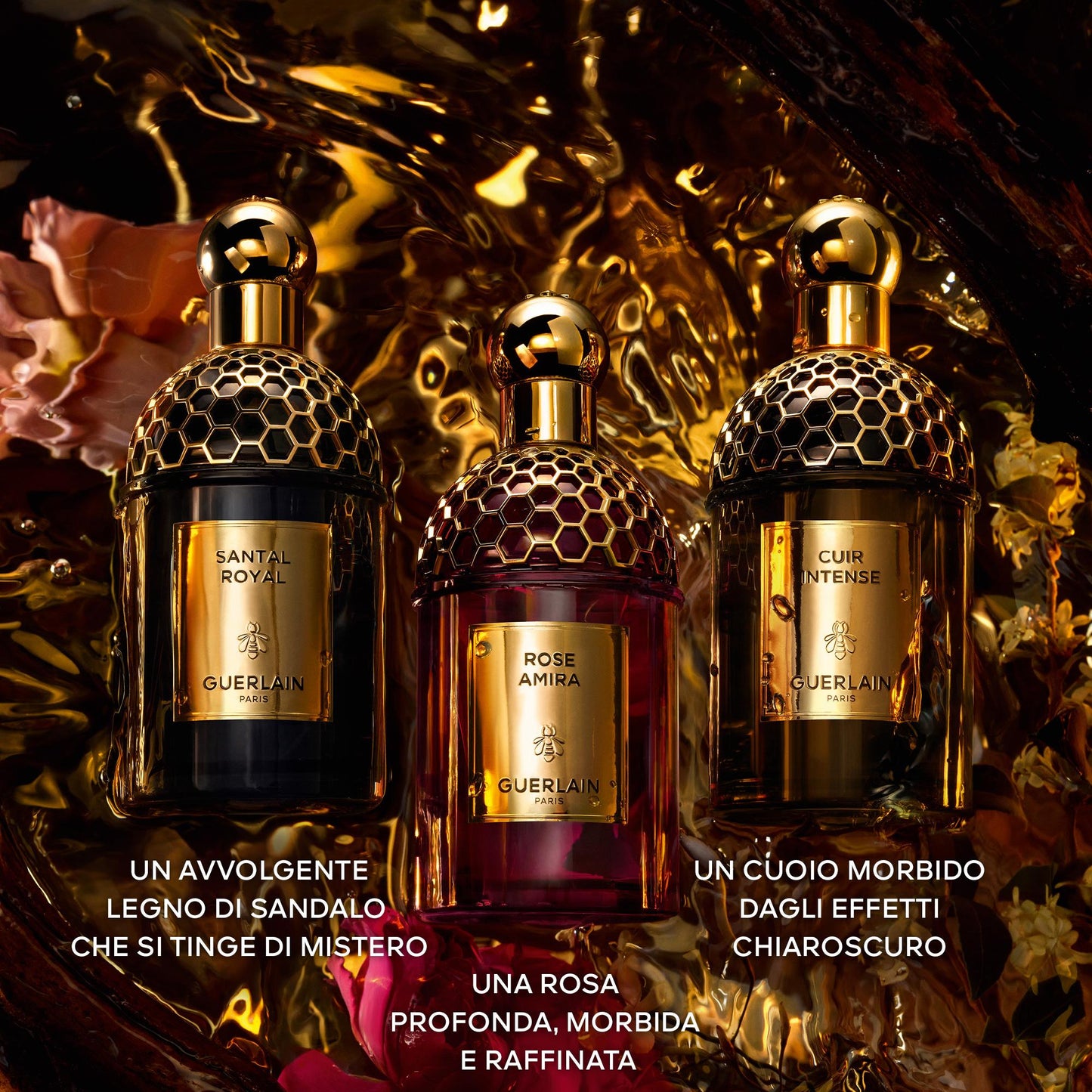 Absolus Allegoria Rose Amira