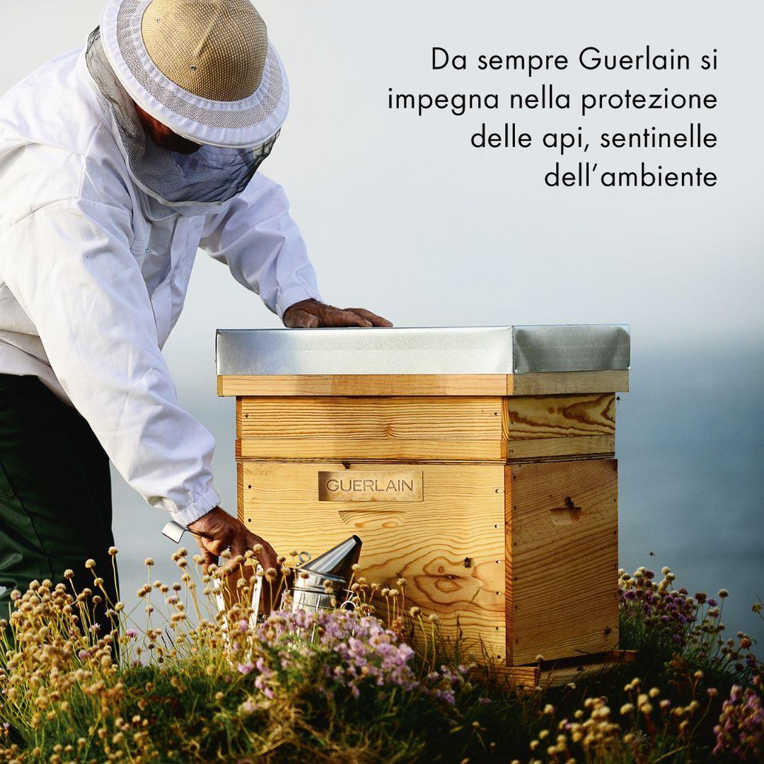 Abeille Royale Honey Treatment Day Cream Ricarica