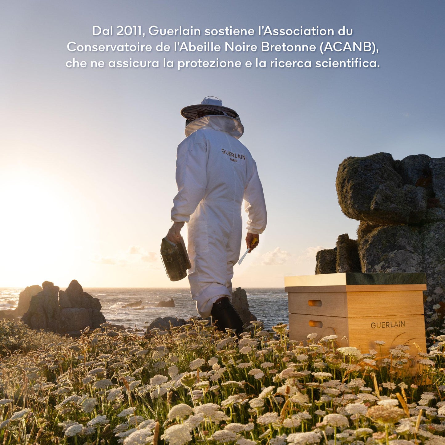 Cofanetto Abeille Royale Rituale Anti-Età Abeille Royale Honey Treatment Day Cream