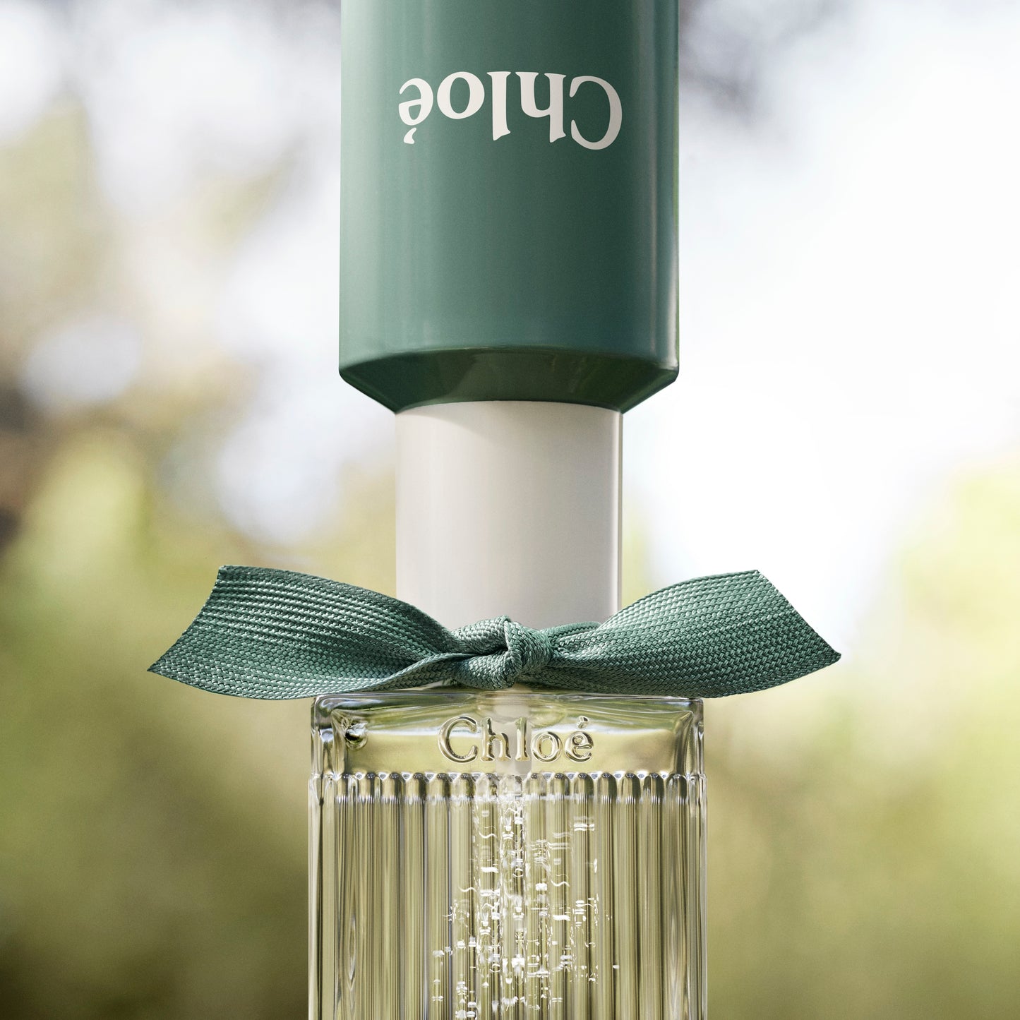 Chloé Rose Naturelle Intense Ricarica