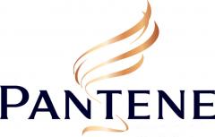 Logo Brand