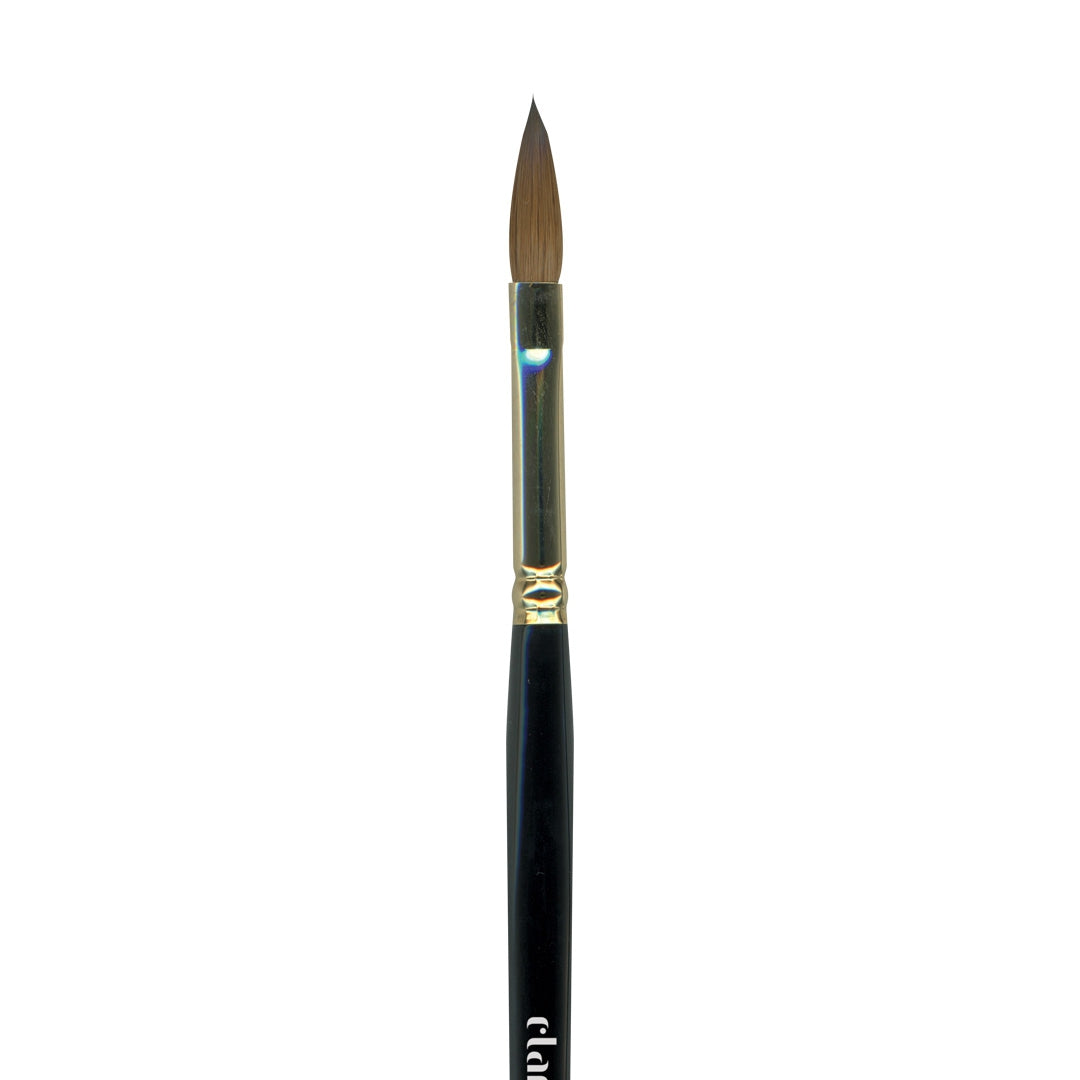 Pennello Martora Piatto M1