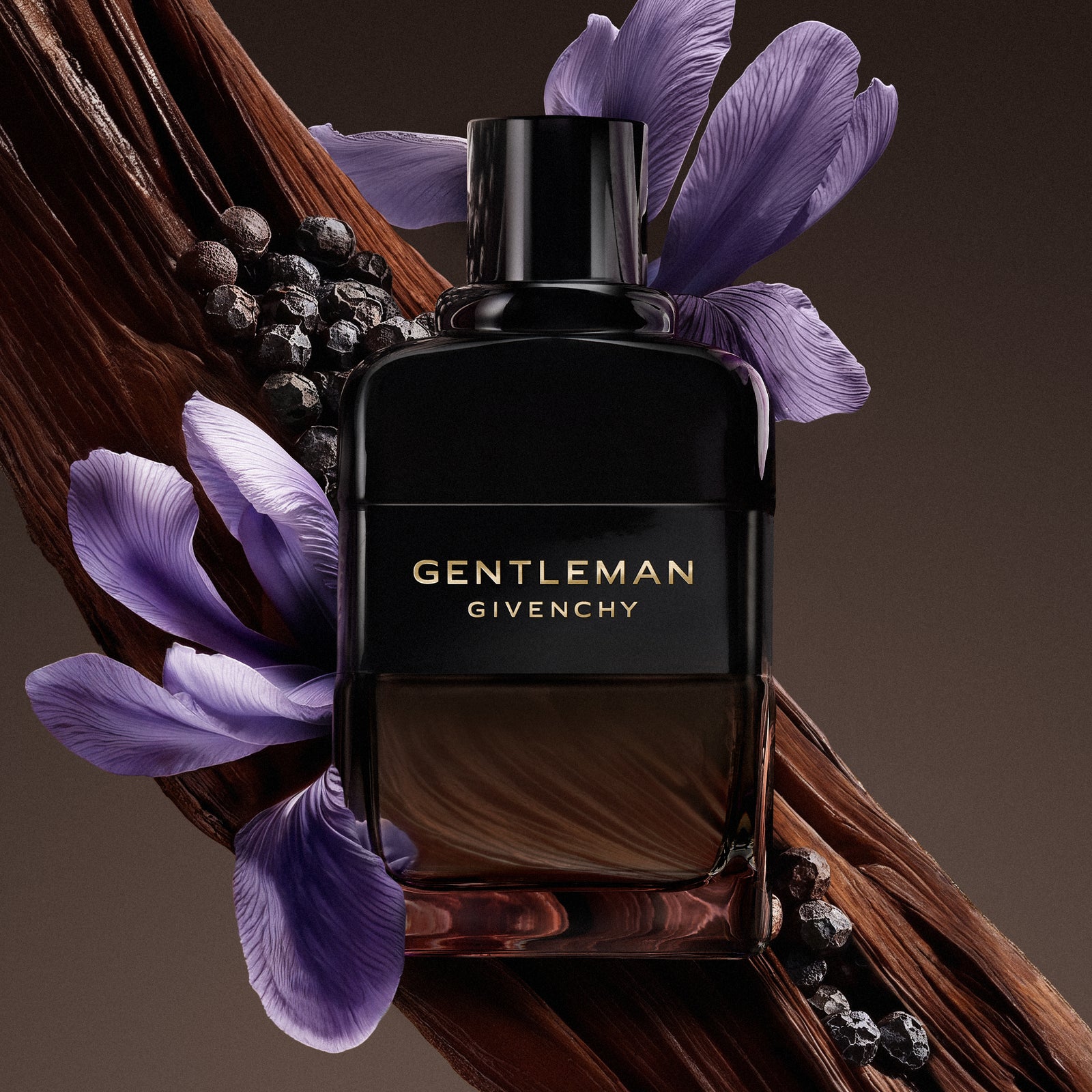 Gentleman Boisée