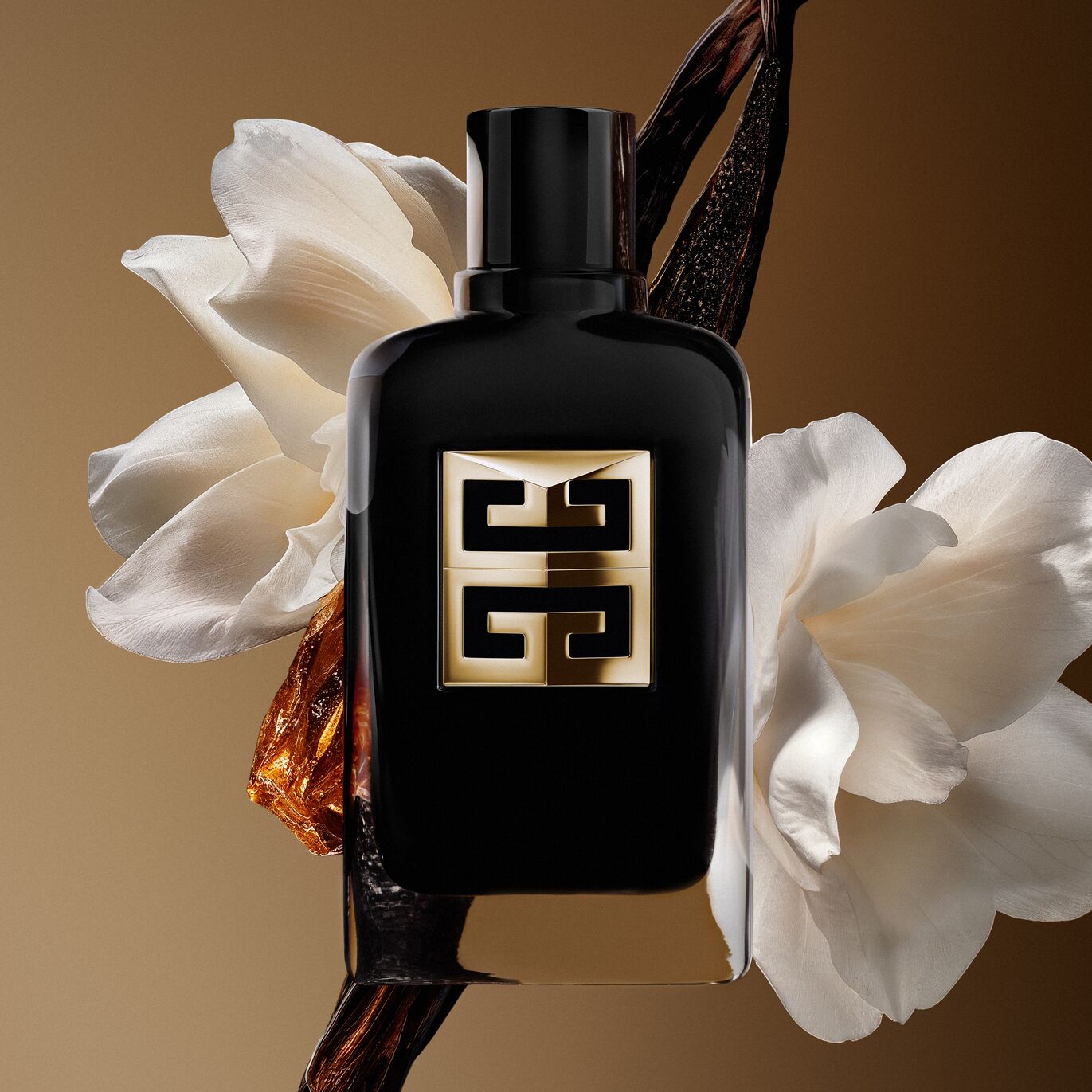 Gentleman Society Ambrée