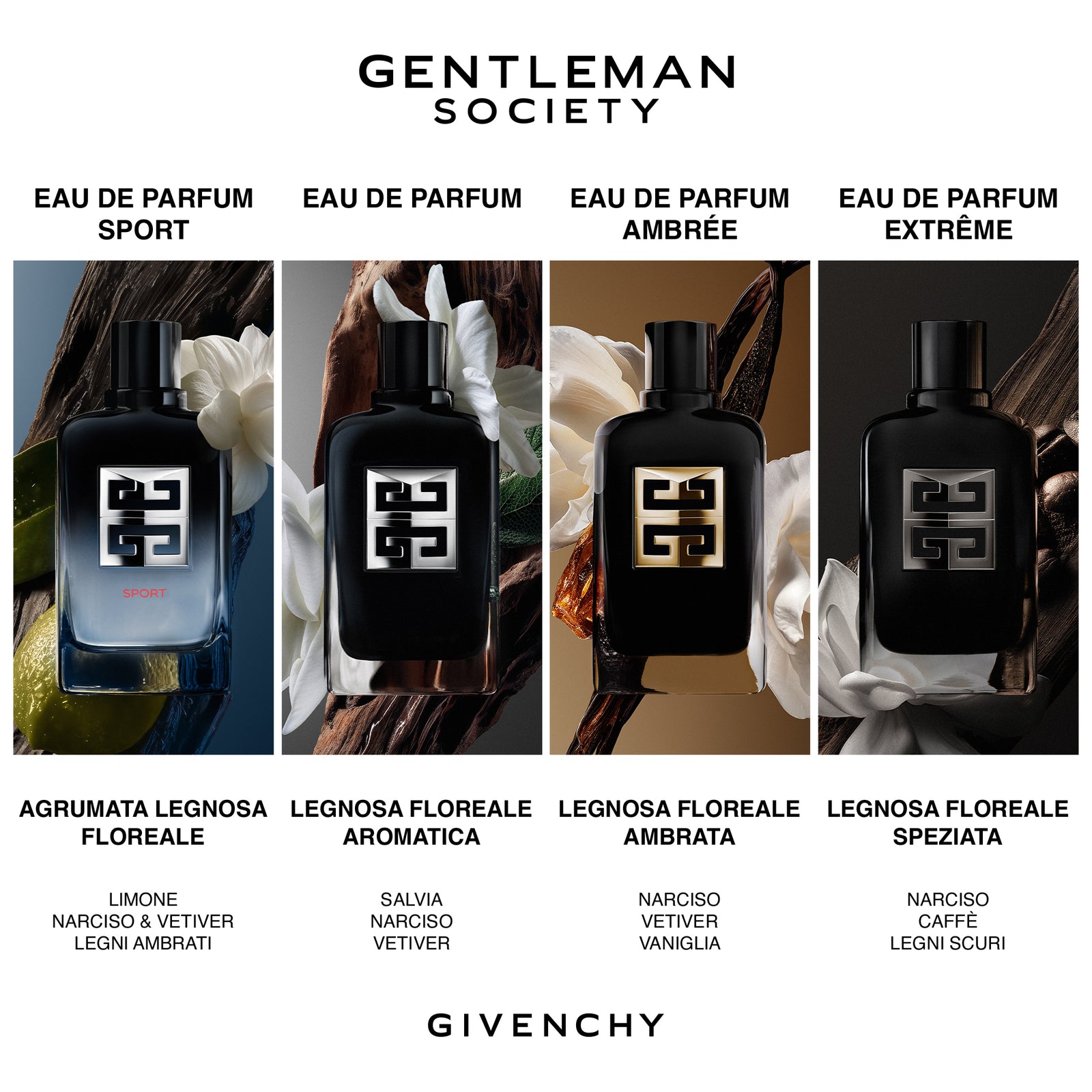Gentleman Society Ambrée
