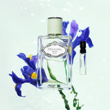 Les Infusion d'Iris