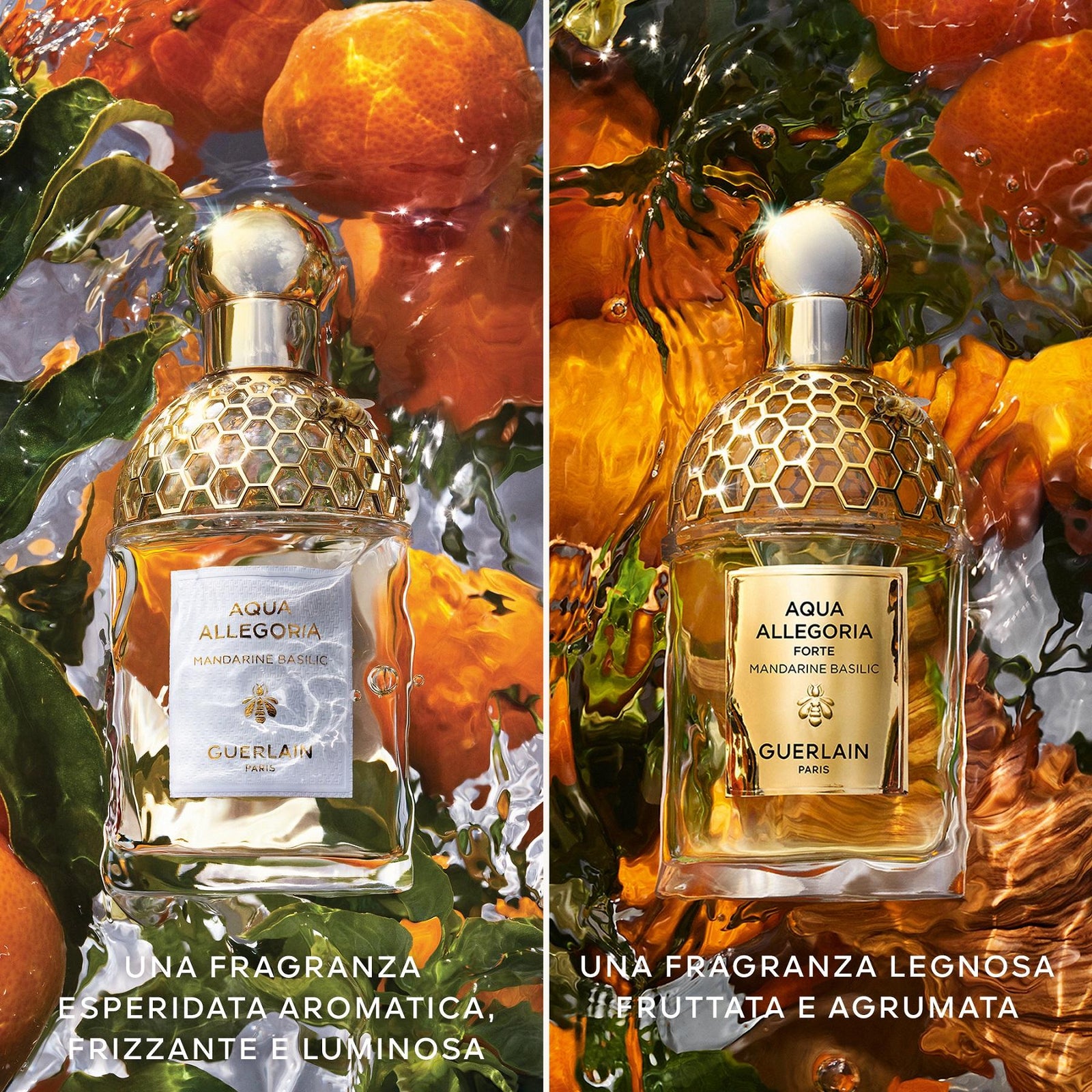 Aqua Allegoria Forte Mandarine Basilic