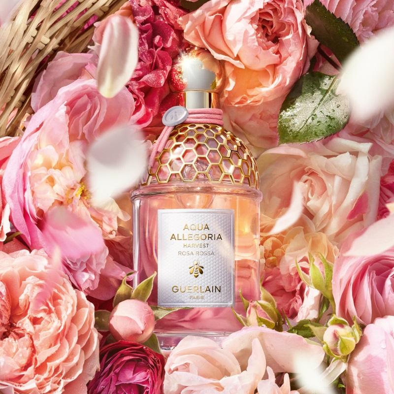 Aqua Allegoria Harvest Rosa Rossa