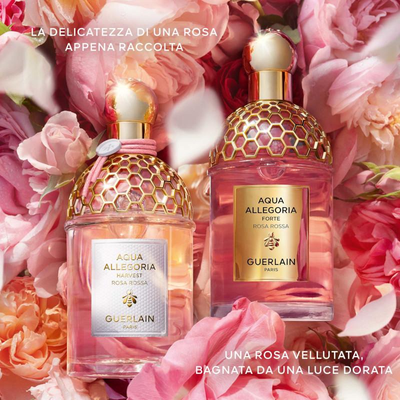 Aqua Allegoria Harvest Rosa Rossa
