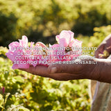 Aqua Allegoria Harvest Rosa Rossa