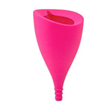 Lily Cup B