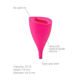 Lily Cup B