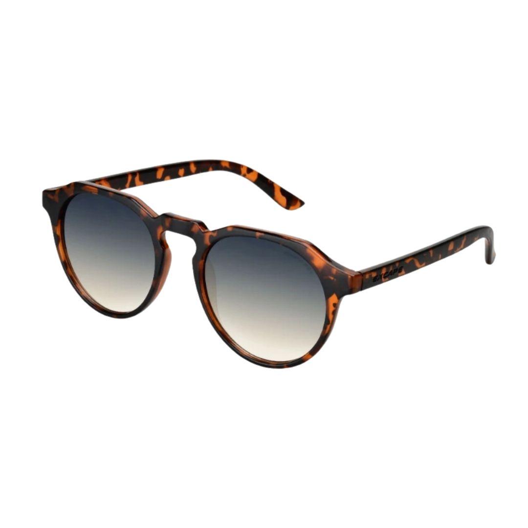 Occhiali da Sole Modello 3.6 Marrone Maculato