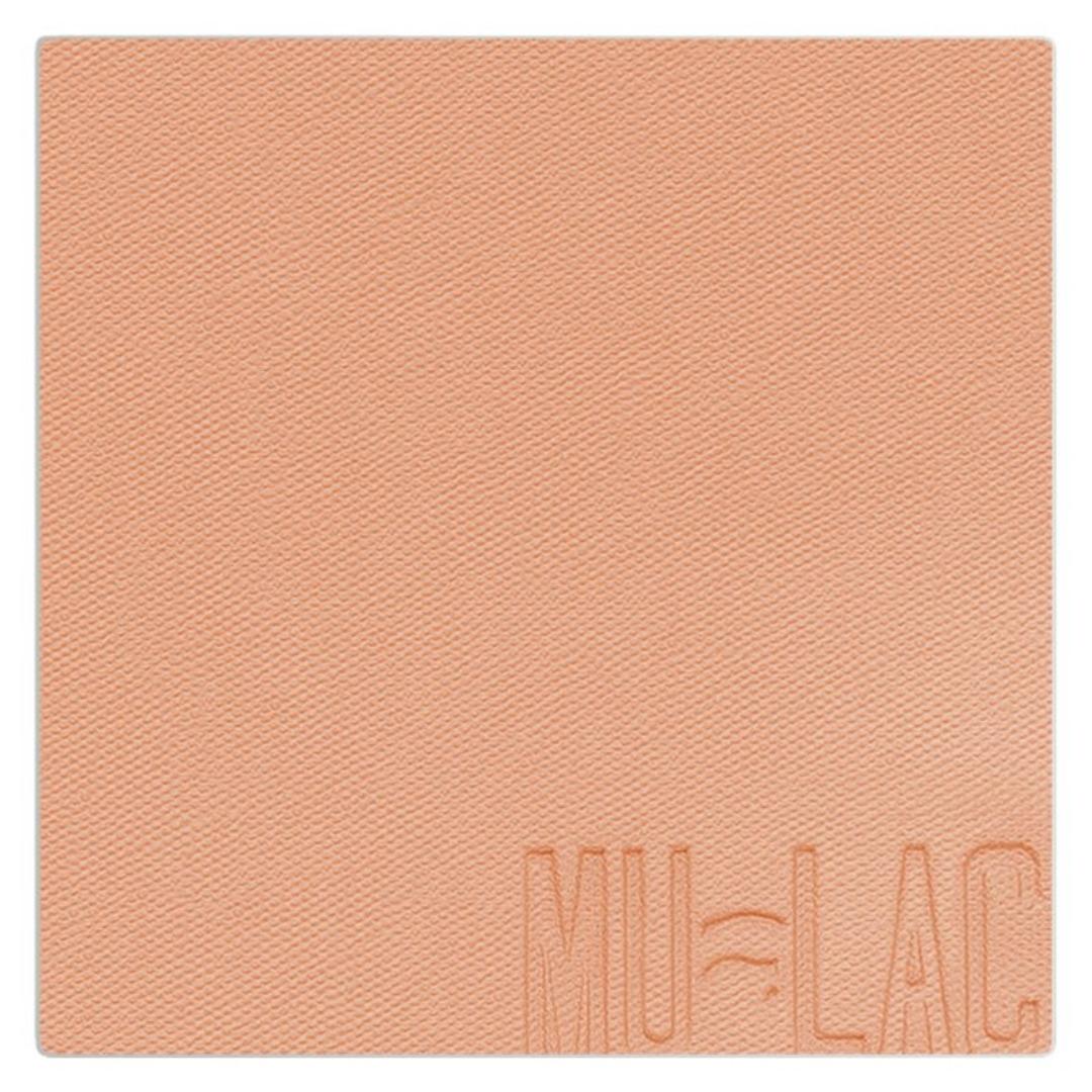 Blush In Polvere Refill