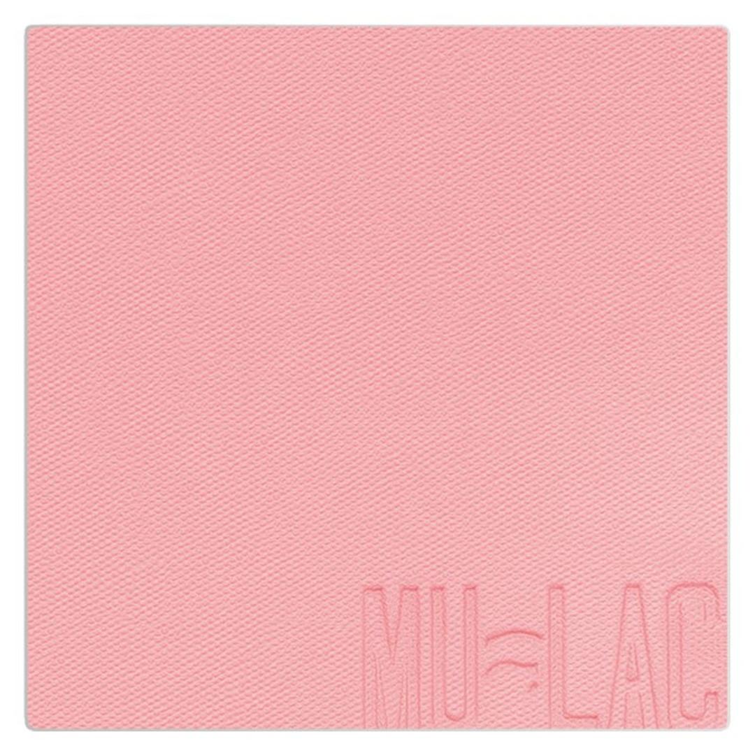 Blush In Polvere Refill