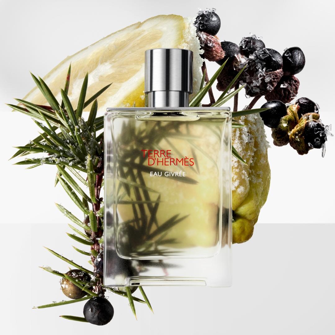 Terre d’Hermès Eau Givrée Ricaricabile