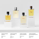 Terre d’Hermès Eau Givrée Ricarica