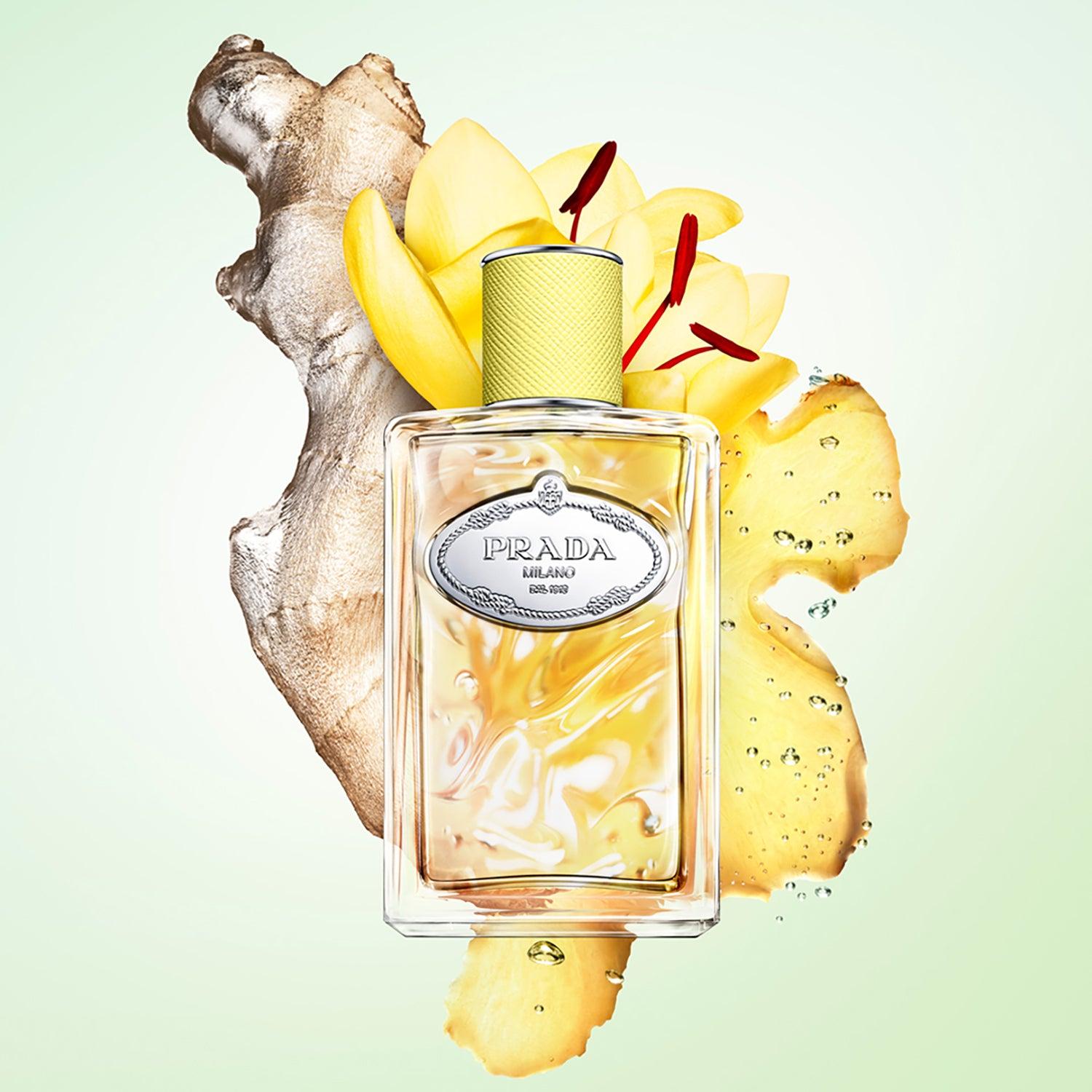 Les Infusion De Gingembre