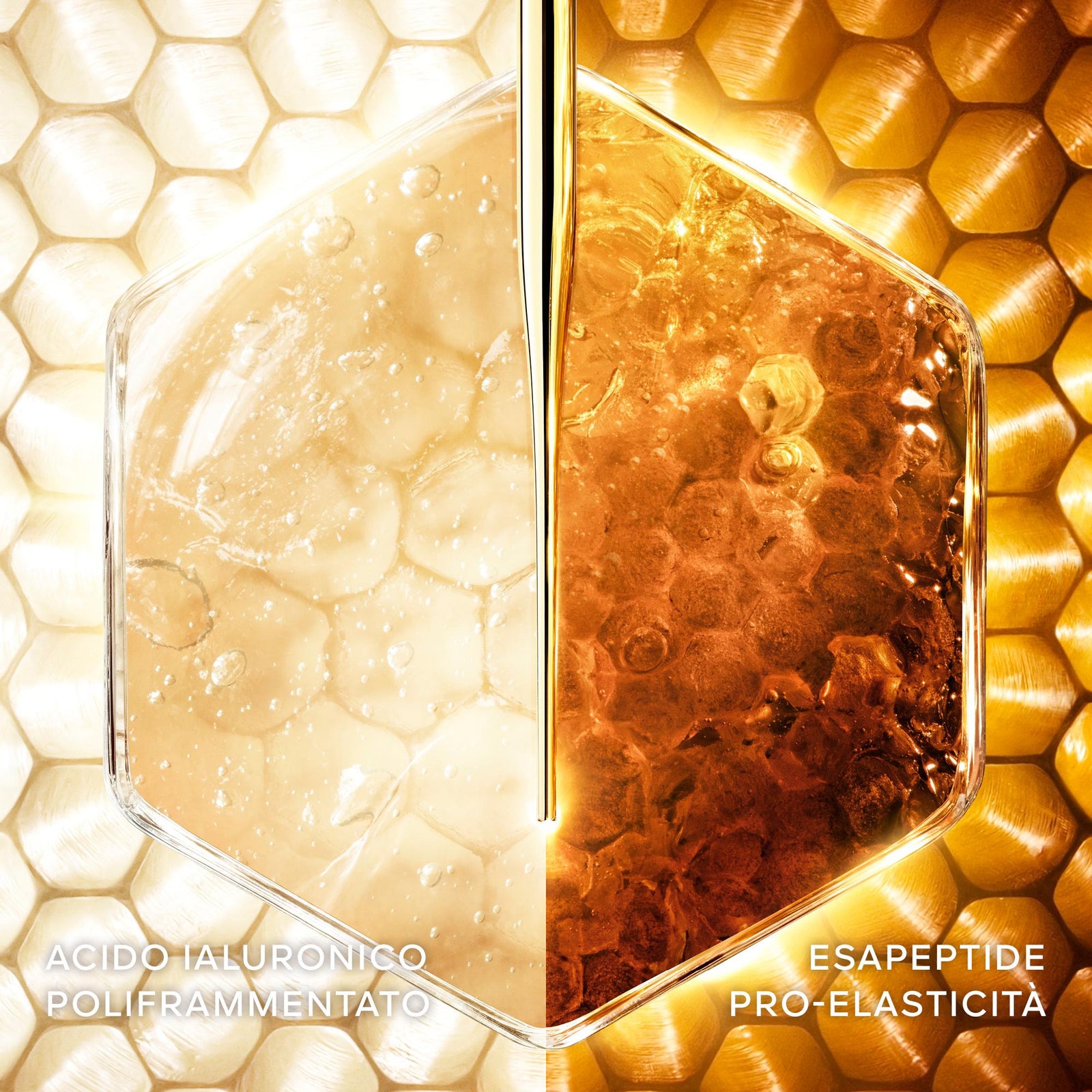 Abeille Royale Honey Treatment Day Cream