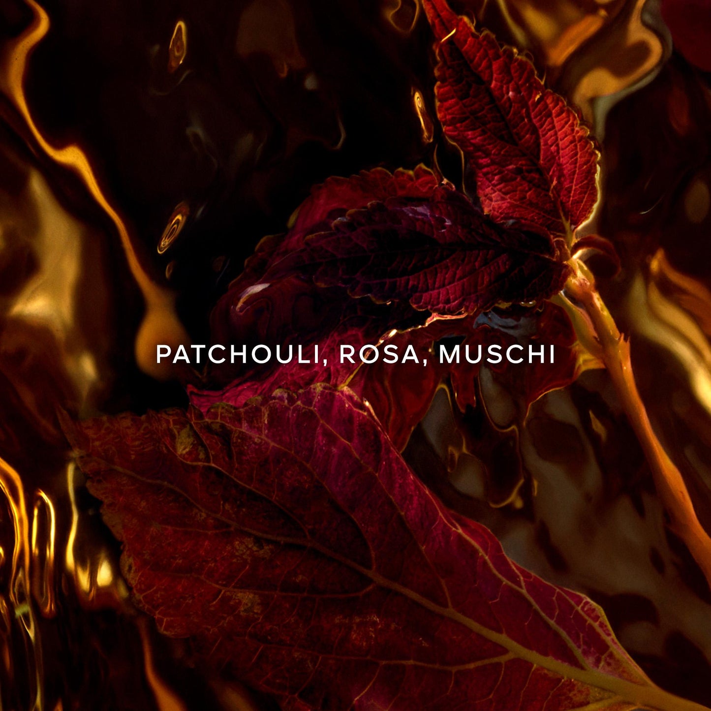 Absolus Allegoria Patchouli Ardent