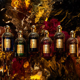 Absolus Allegoria Patchouli Ardent
