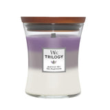 Amethyst Sky Trylogy