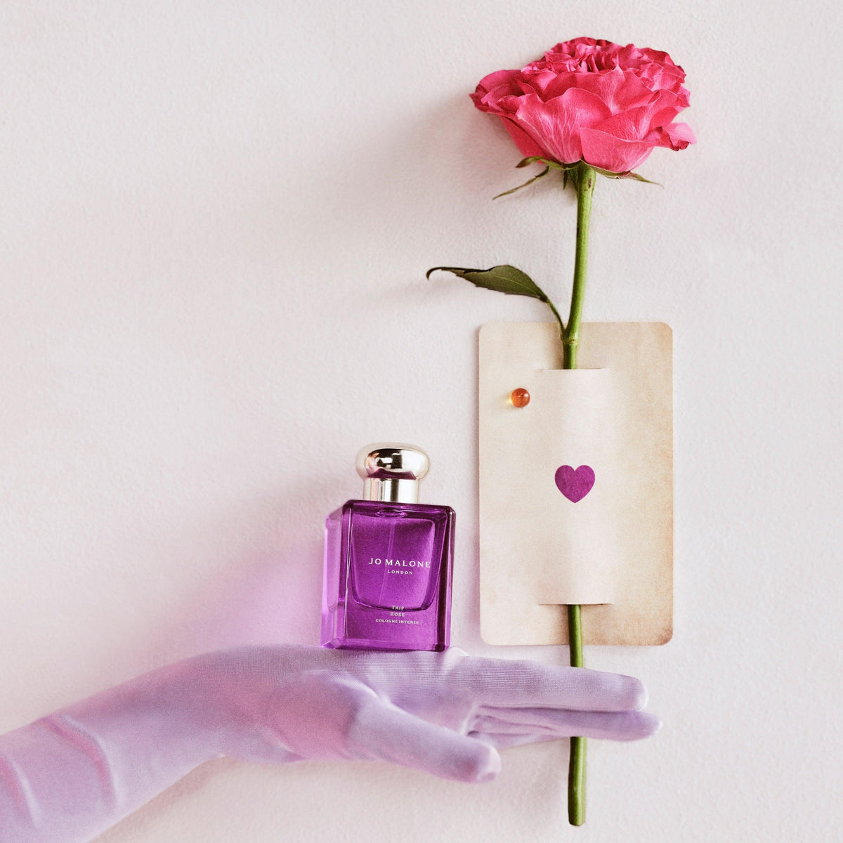 Colonie Intense Taif Rose