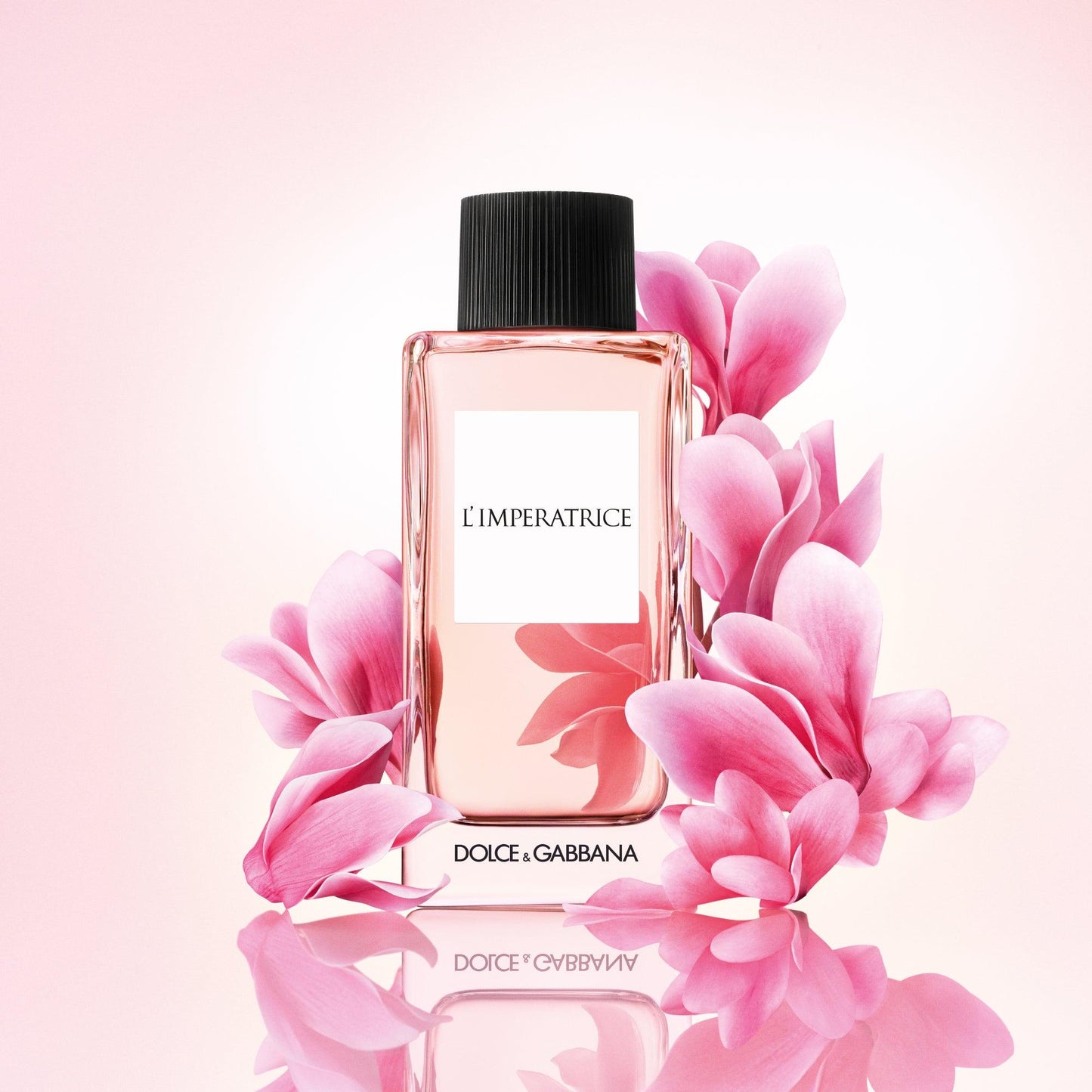Dolce&Gabbana L'Imperatrice
