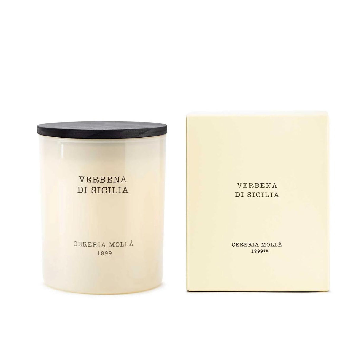 Candela Verbena Di Sicilia