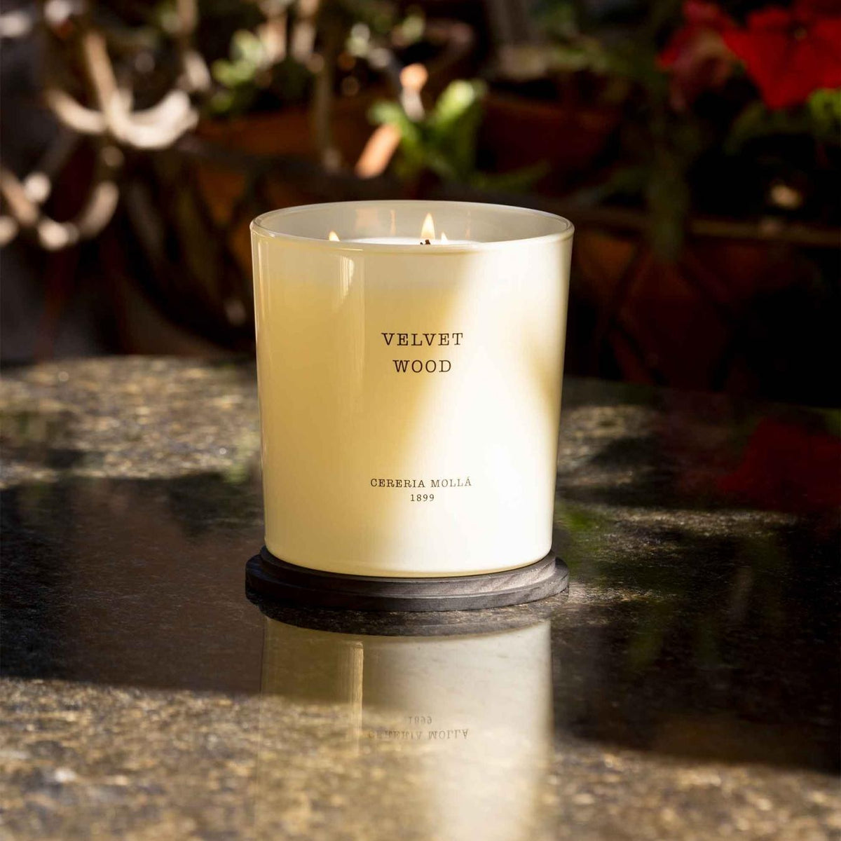 Candela Velvet Wood XL
