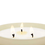 Candela Velvet Wood XL