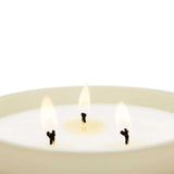 Candela XL Orchidea Nera e Giglio