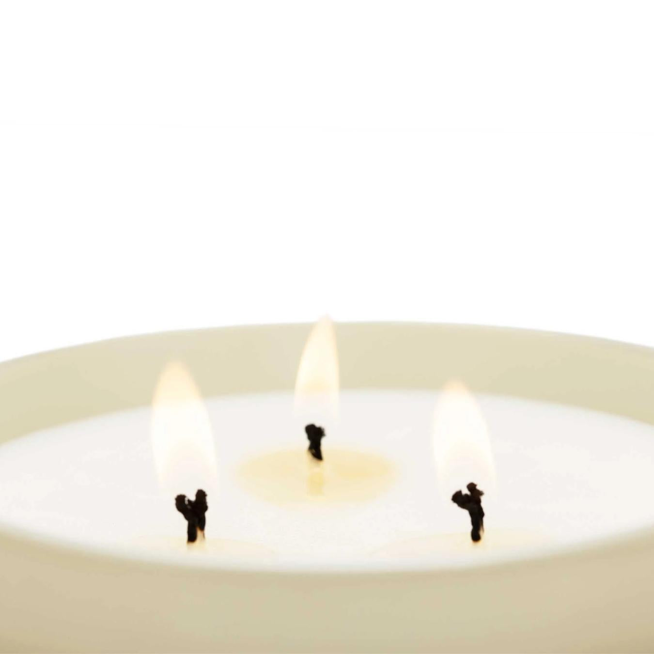 Candela XL Orchidea Nera e Giglio