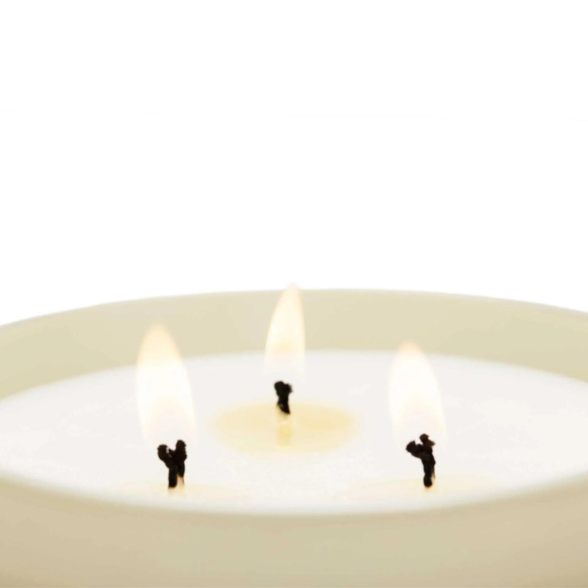Candela XL Orchidea Nera e Giglio