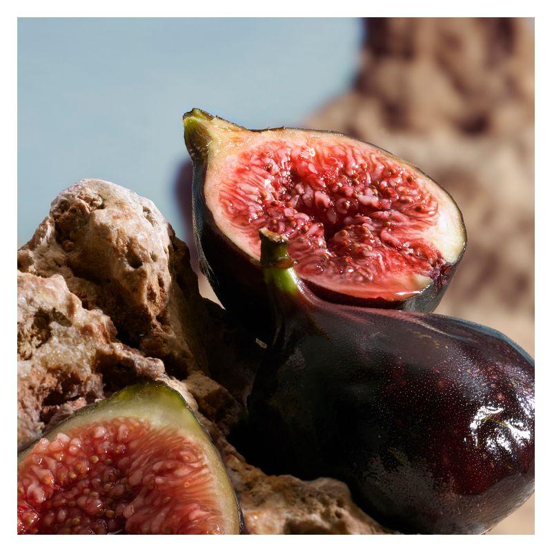 K by Dolce&Gabbana Parfum