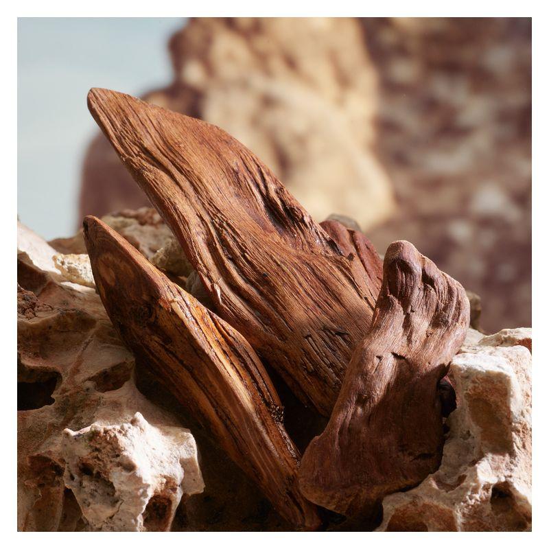 K by Dolce&Gabbana Parfum