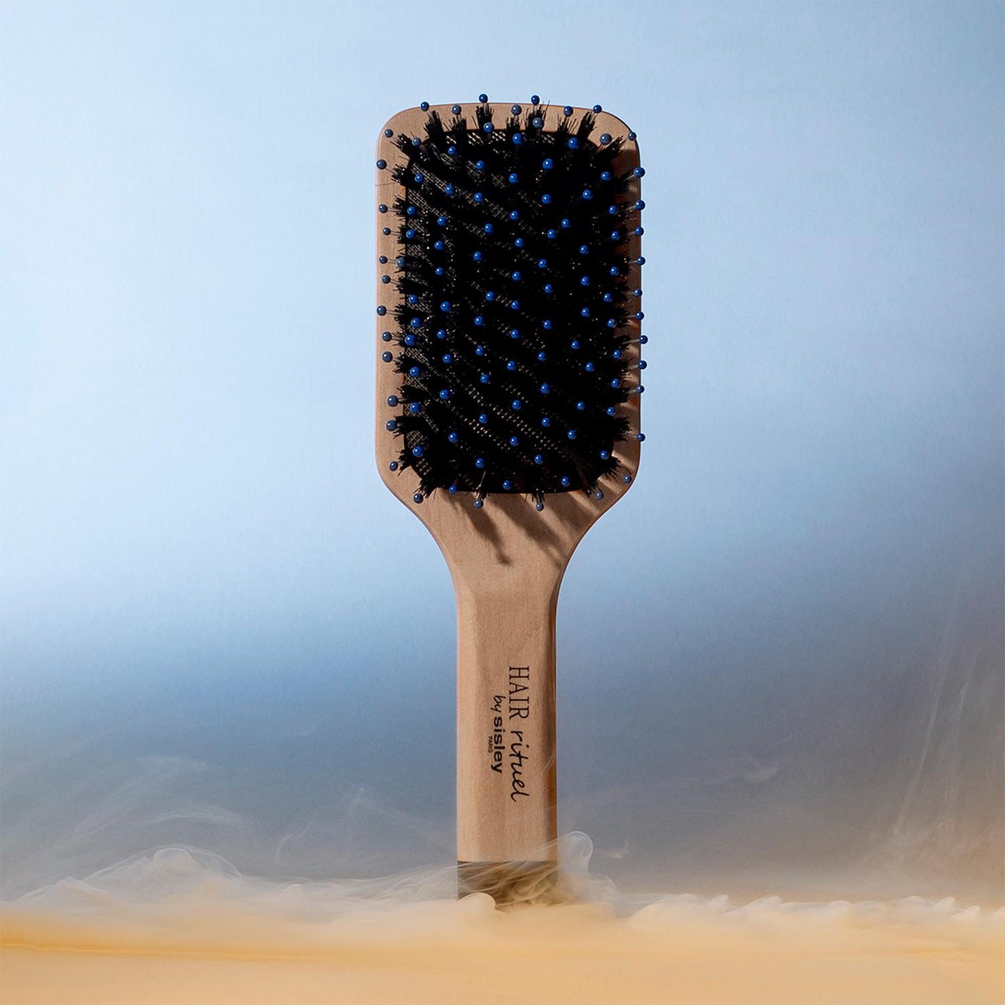 Hair Rituel La Brosse de Poche Brillance et Douceur