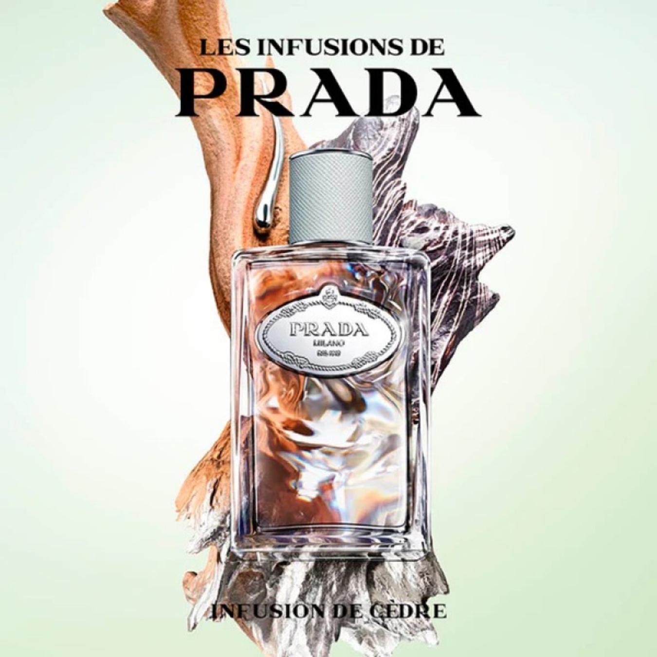 Les Infusions Cedre