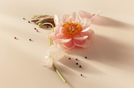 all of me essentiel