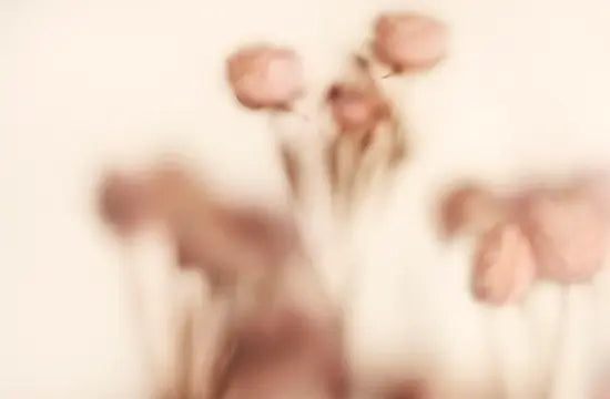 NARCISO RODRIGUEZ