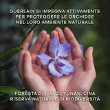 Orchidée Impériale La Crème Riche de Longévité Ricarica