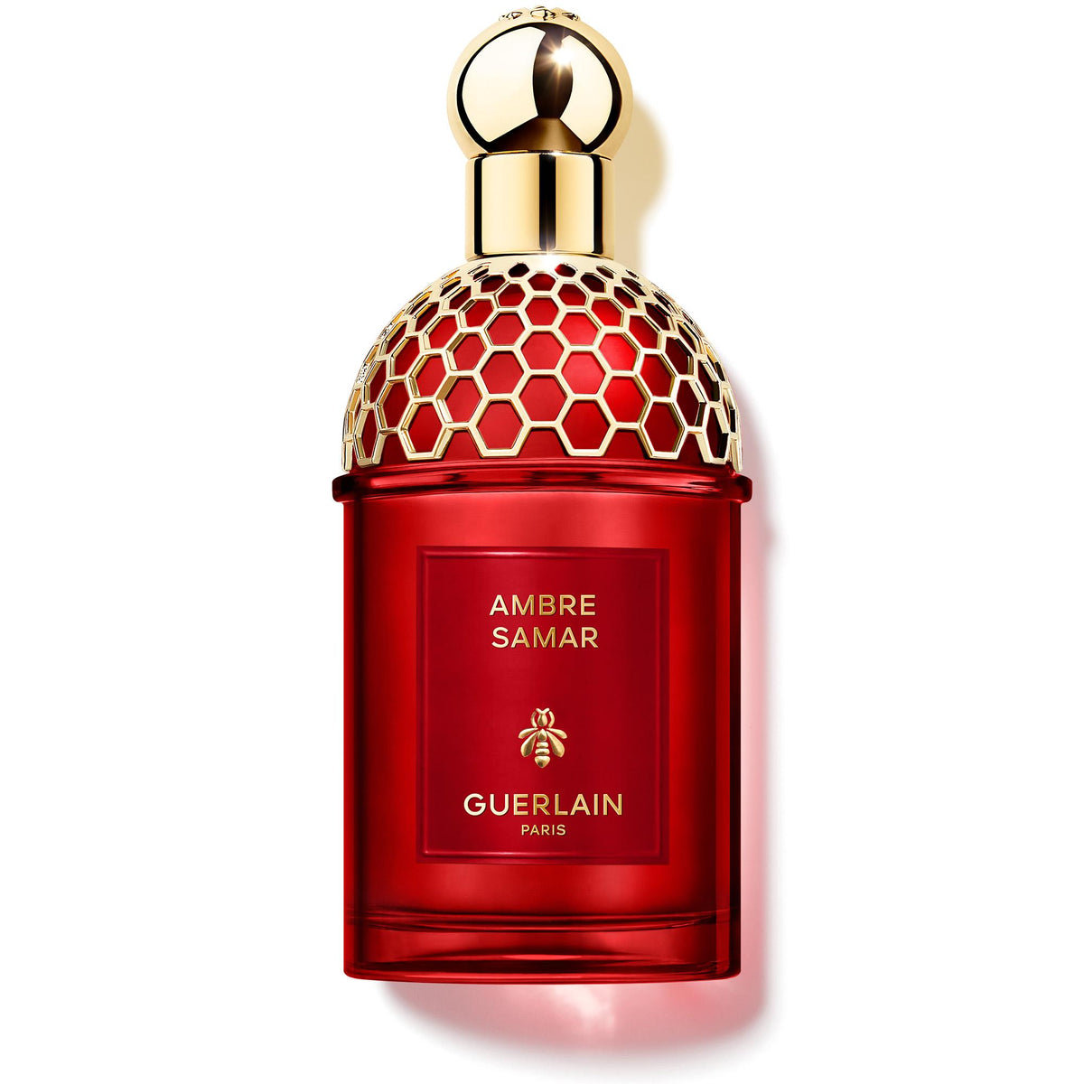 Aqua Allegoria Ambre Samar