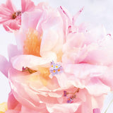 Miss Dior Blooming Bouquet Roller-Pearl