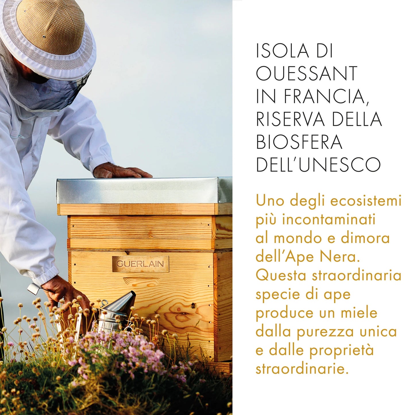 Abeille Royale Huile Démaquillante Anti-Pollution