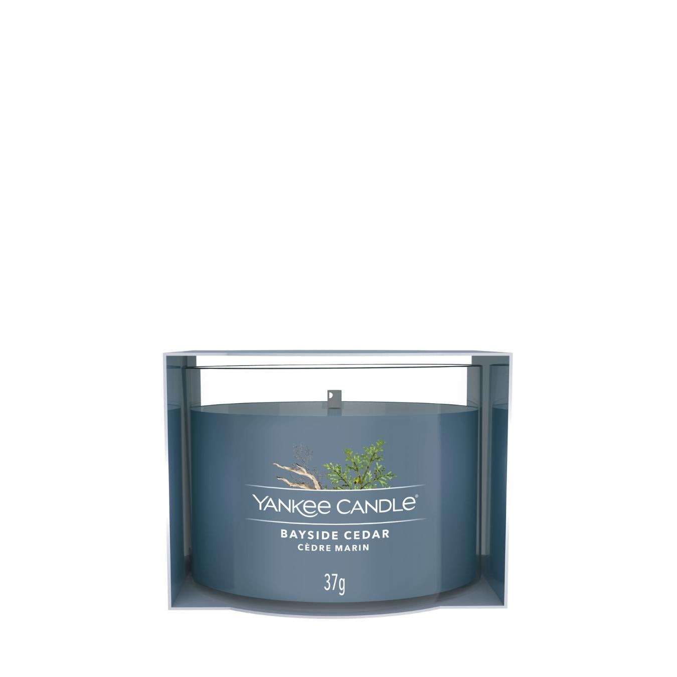 Filled Votive - Bayside Cedar