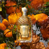 Cofanetto Aqua Allegoria Mandarine Basilic Forte - Coffret Eau de Parfum