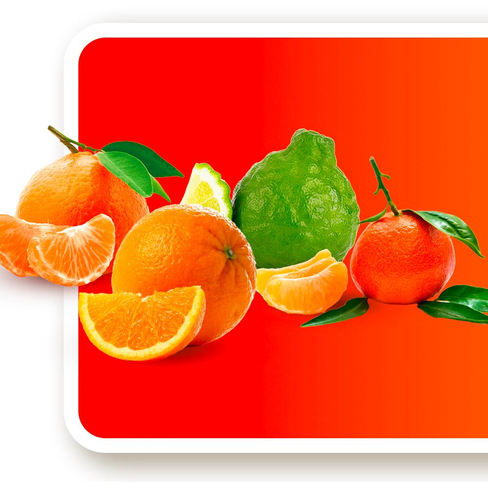 Mandarino Malandrino